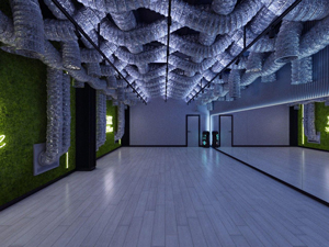 Green hall 80 m2